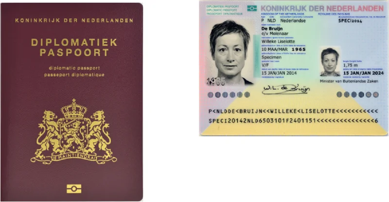 Afbeelding bij dit artikel