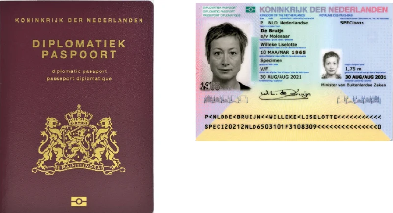 Afbeelding bij dit artikel