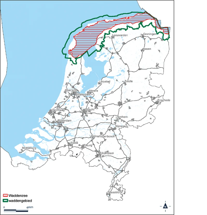 Afbeelding bij dit artikel