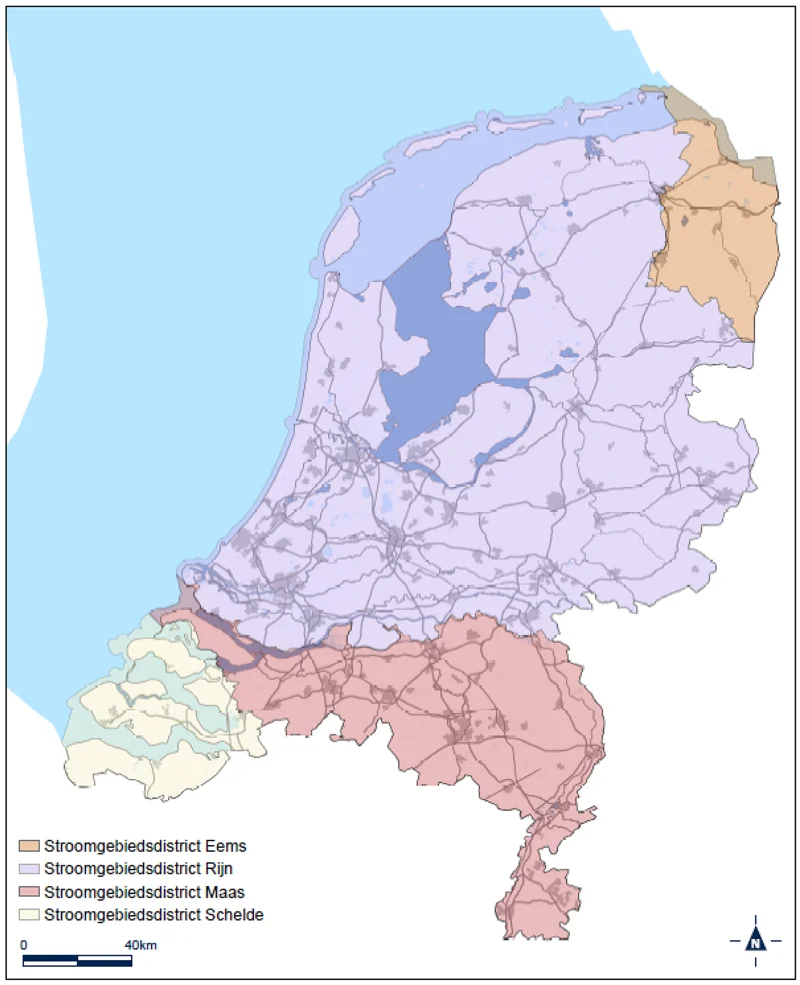 Afbeelding bij dit artikel