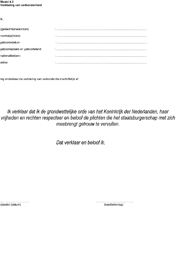 Afbeelding bij dit artikel